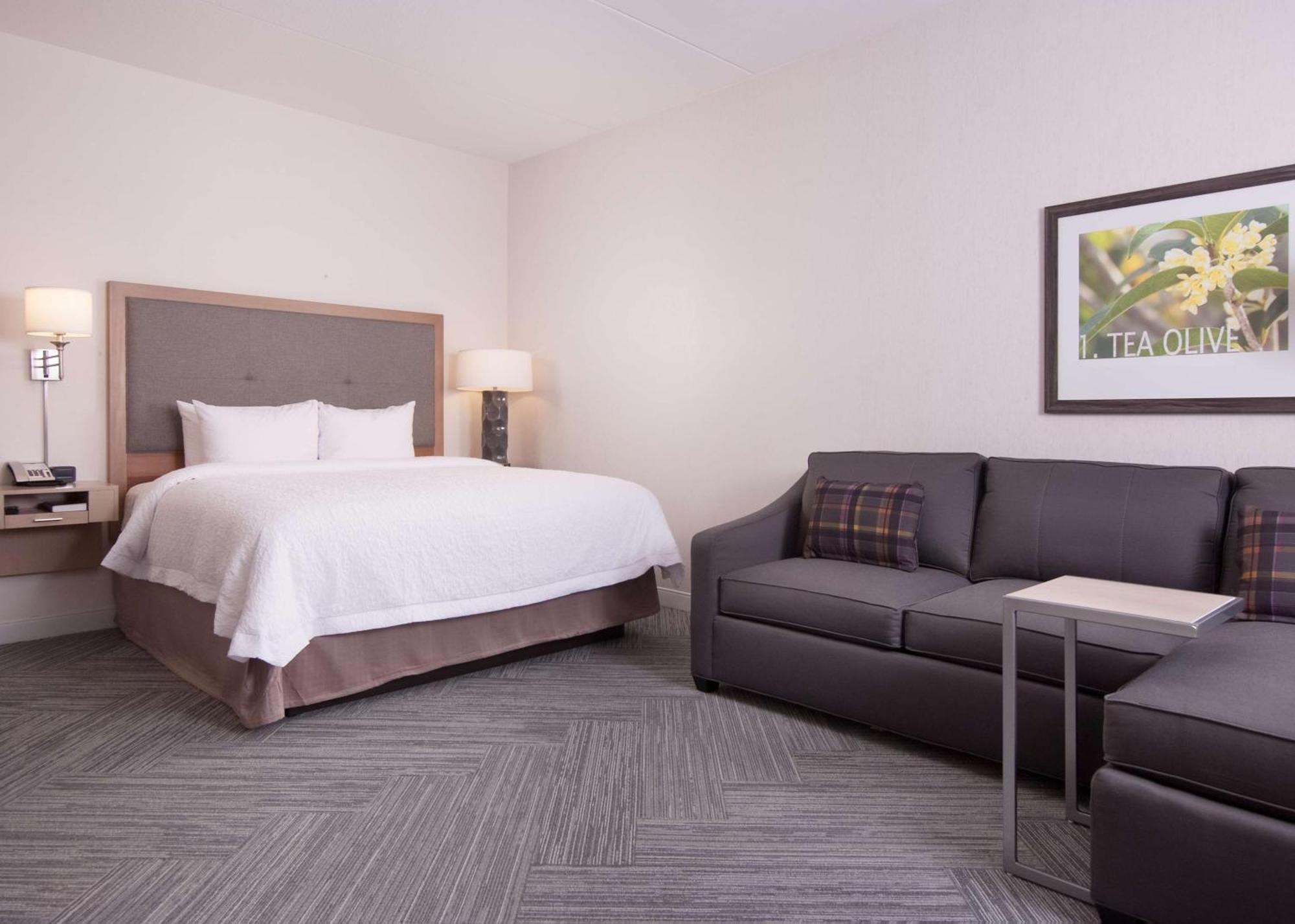Hampton Inn & Suites By Hilton Augusta-Washington Rd Eksteriør bilde